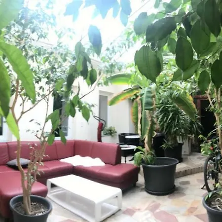 Palmengarten Meets Presshaus Homestay Langenlois