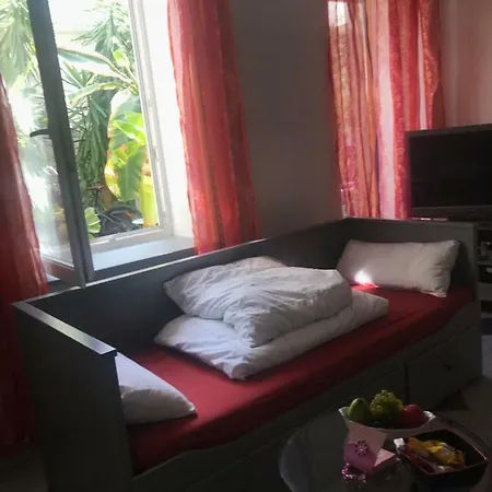 Palmengarten Meets Presshaus Homestay